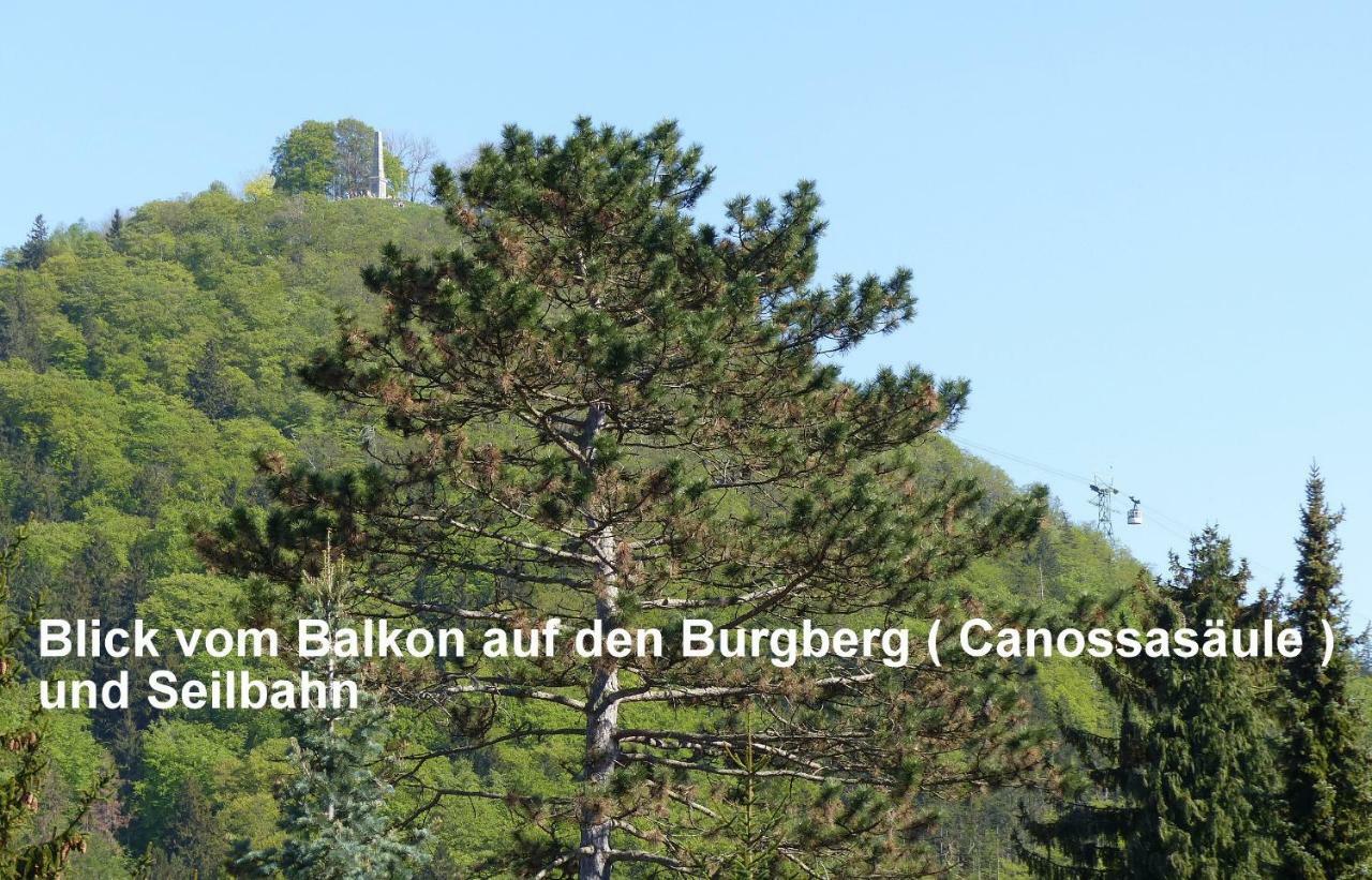 Apartment Parkblick Bad Harzburg