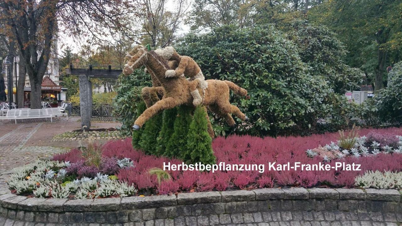 Parkblick