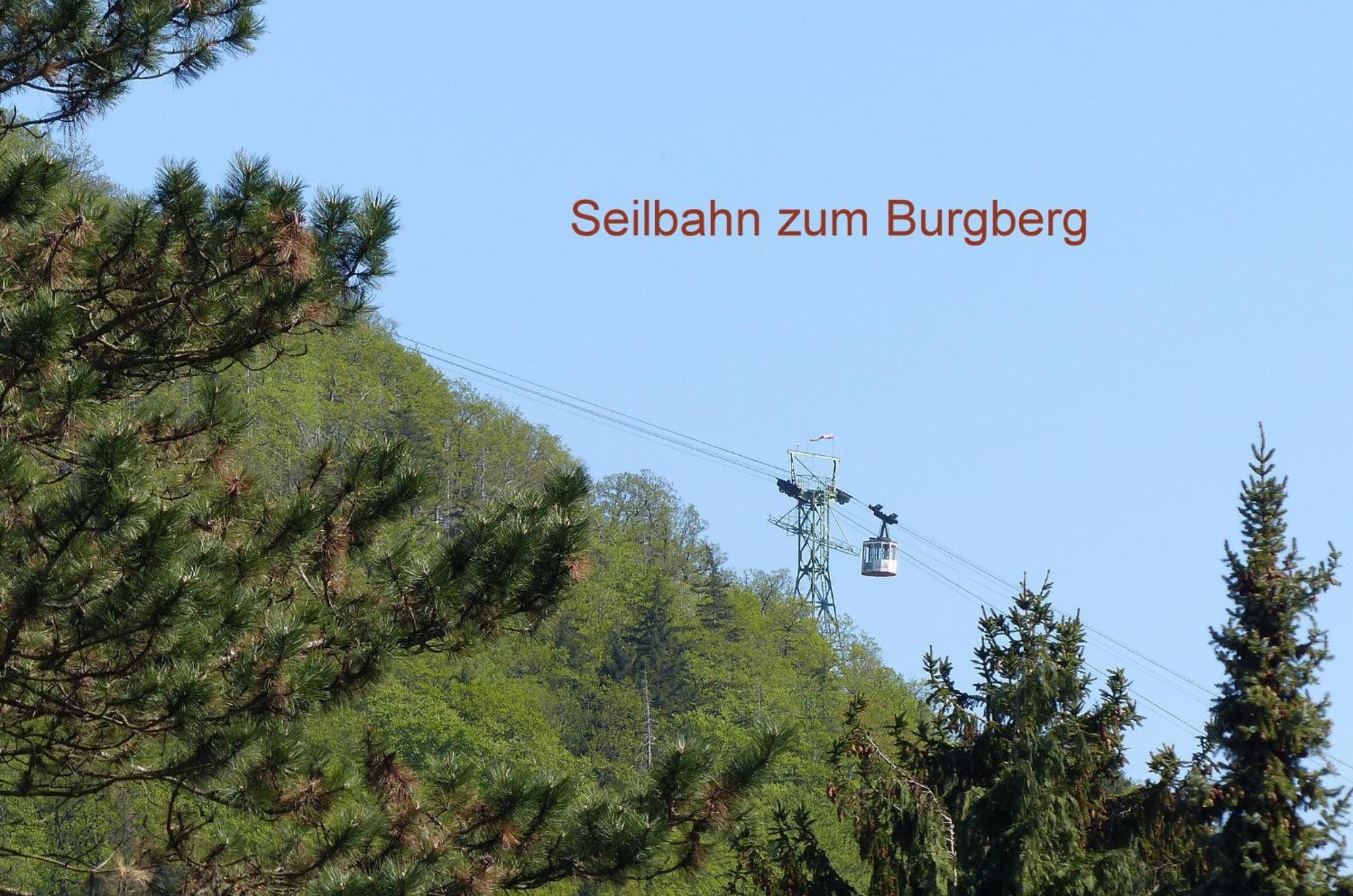 Apartment Parkblick Mit 2 Baedern *