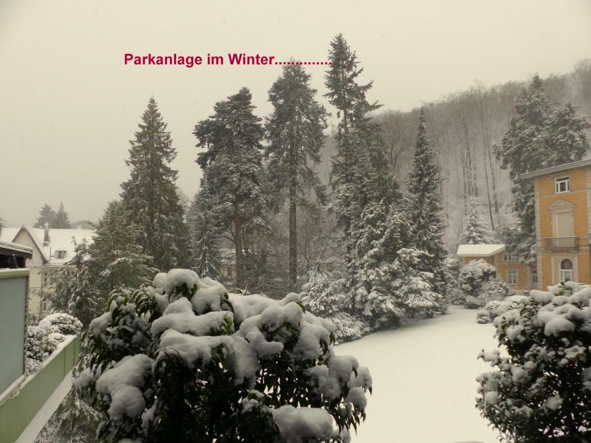 Parkblick Mit 2 Baedern Apartment *